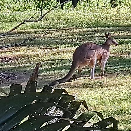 Forest View Bungalow Nambucca Heads Bagian luar foto