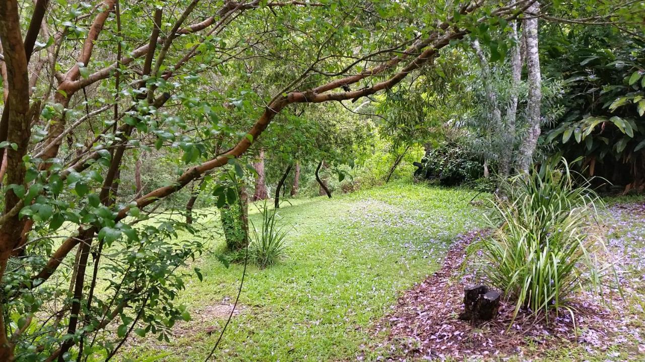 Forest View Bungalow Nambucca Heads Bagian luar foto