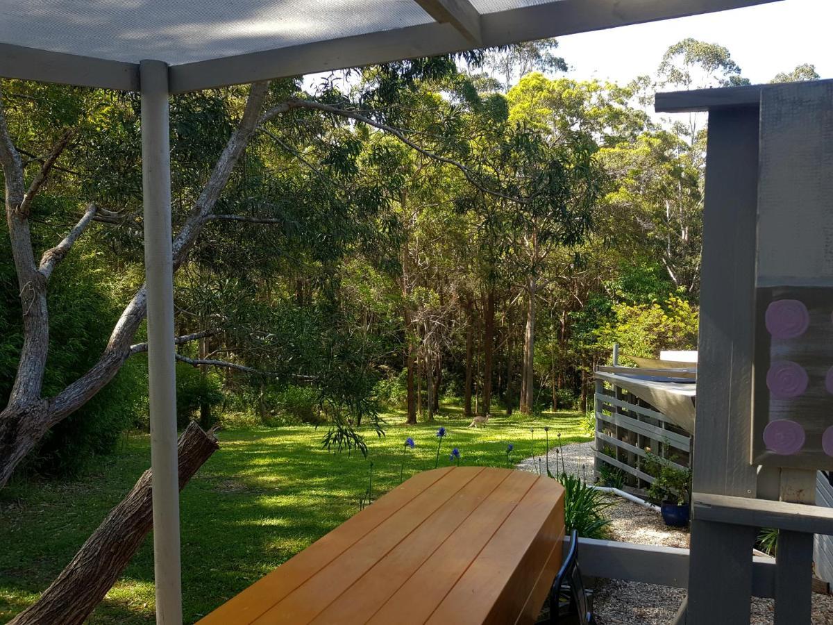 Forest View Bungalow Nambucca Heads Bagian luar foto