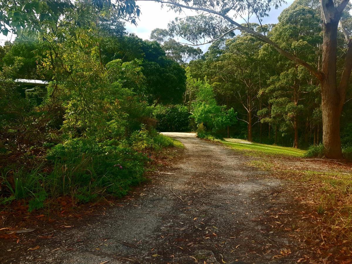 Forest View Bungalow Nambucca Heads Bagian luar foto