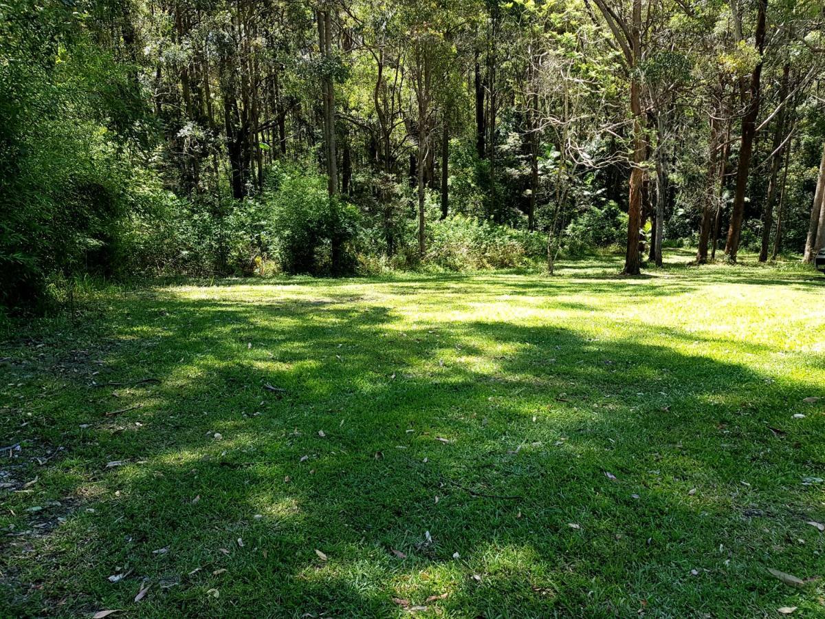 Forest View Bungalow Nambucca Heads Bagian luar foto