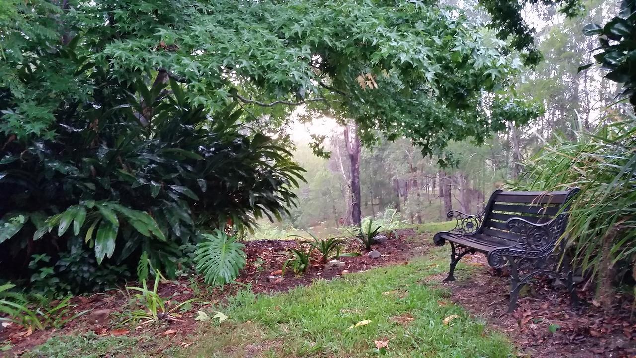 Forest View Bungalow Nambucca Heads Bagian luar foto