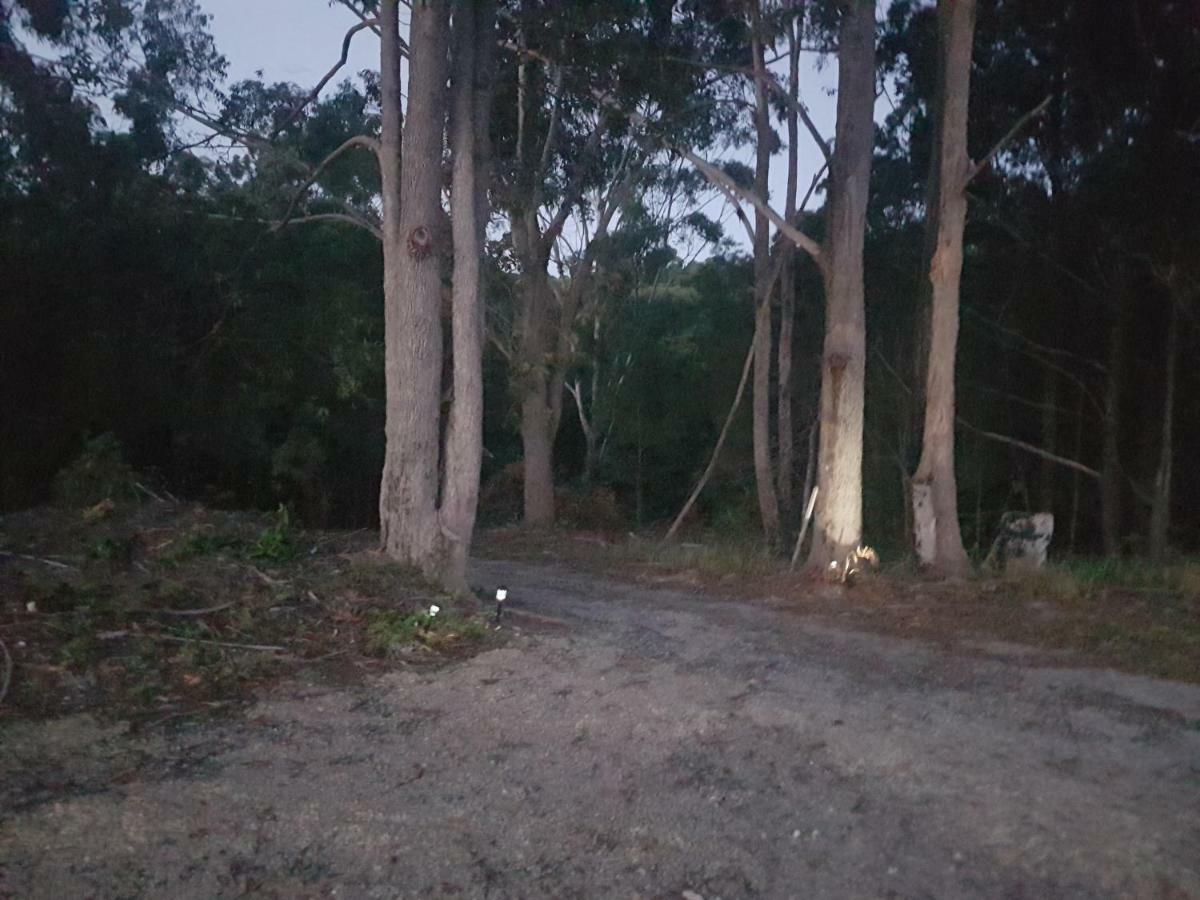Forest View Bungalow Nambucca Heads Bagian luar foto